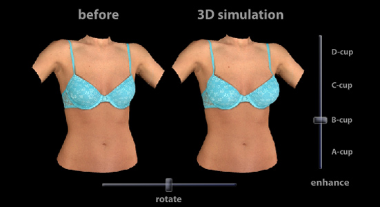 Diagram of the 3D simulation showing the original cup size and the augmented result